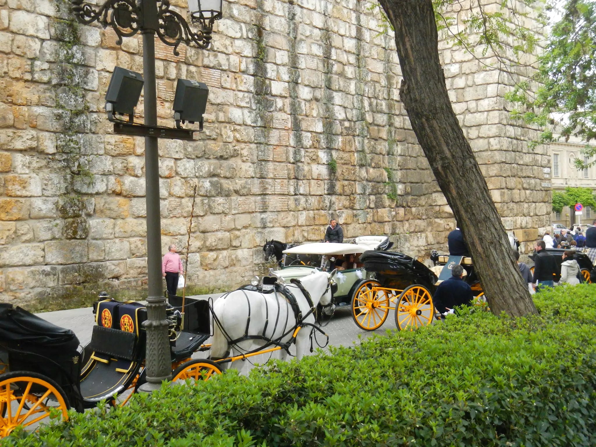 Horse Drawn Carriages