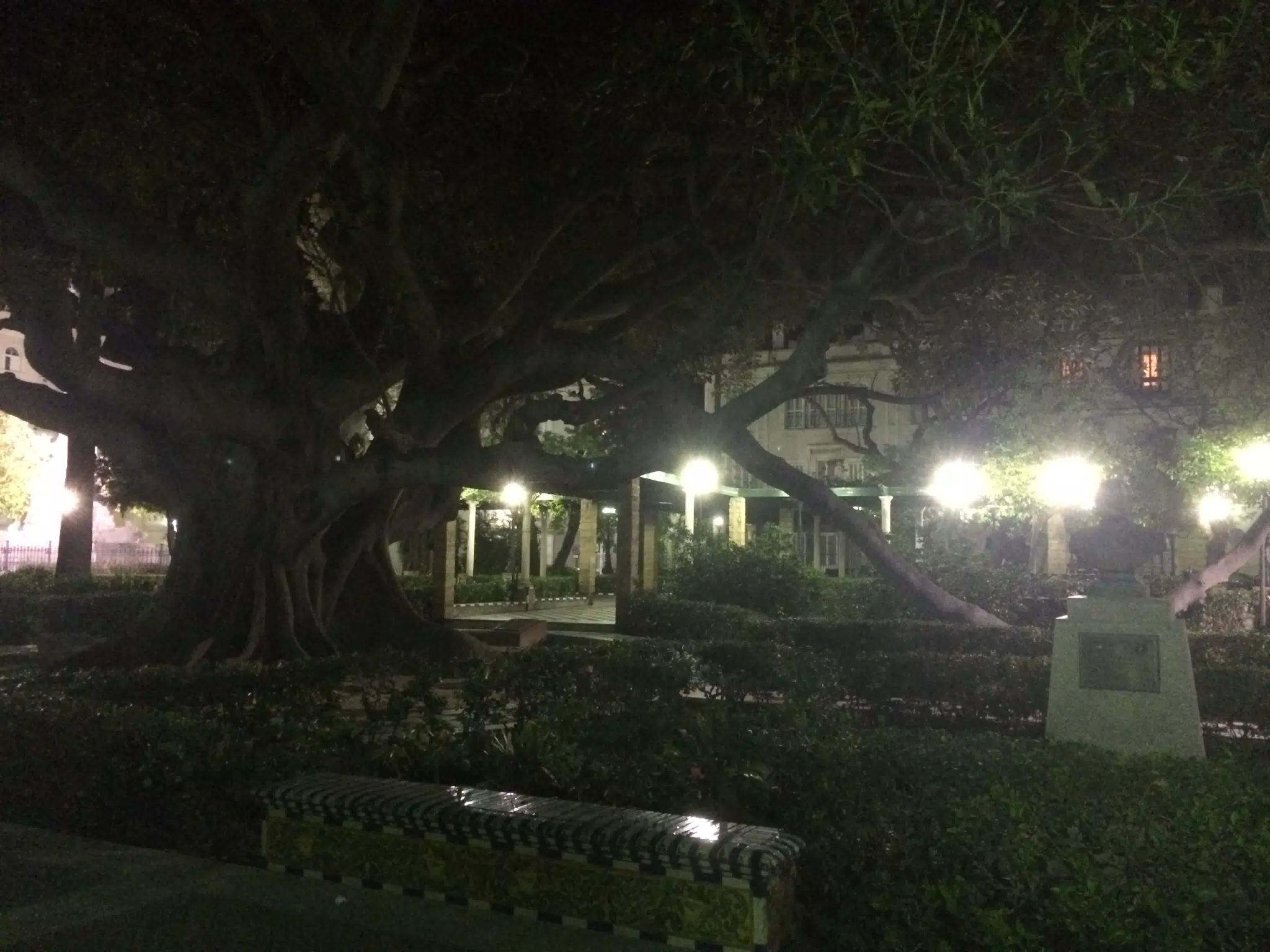Midnight Walk in Cádiz