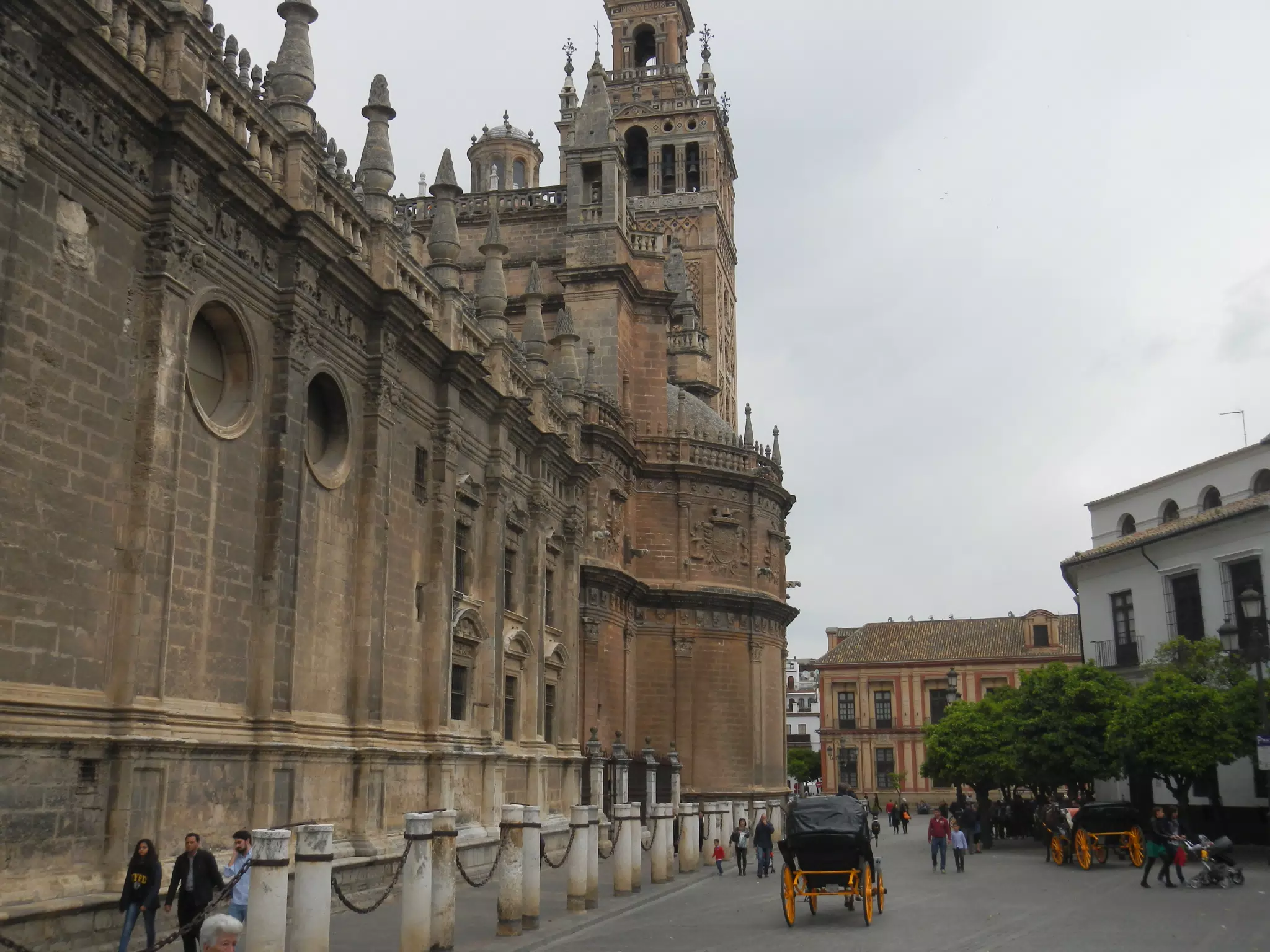 Horse Drawn Carriage by the Cathedral