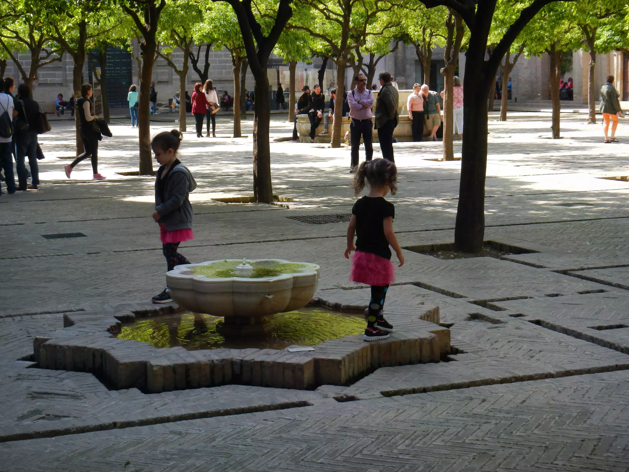 The Girls Playing on the Orange Grove Fountain