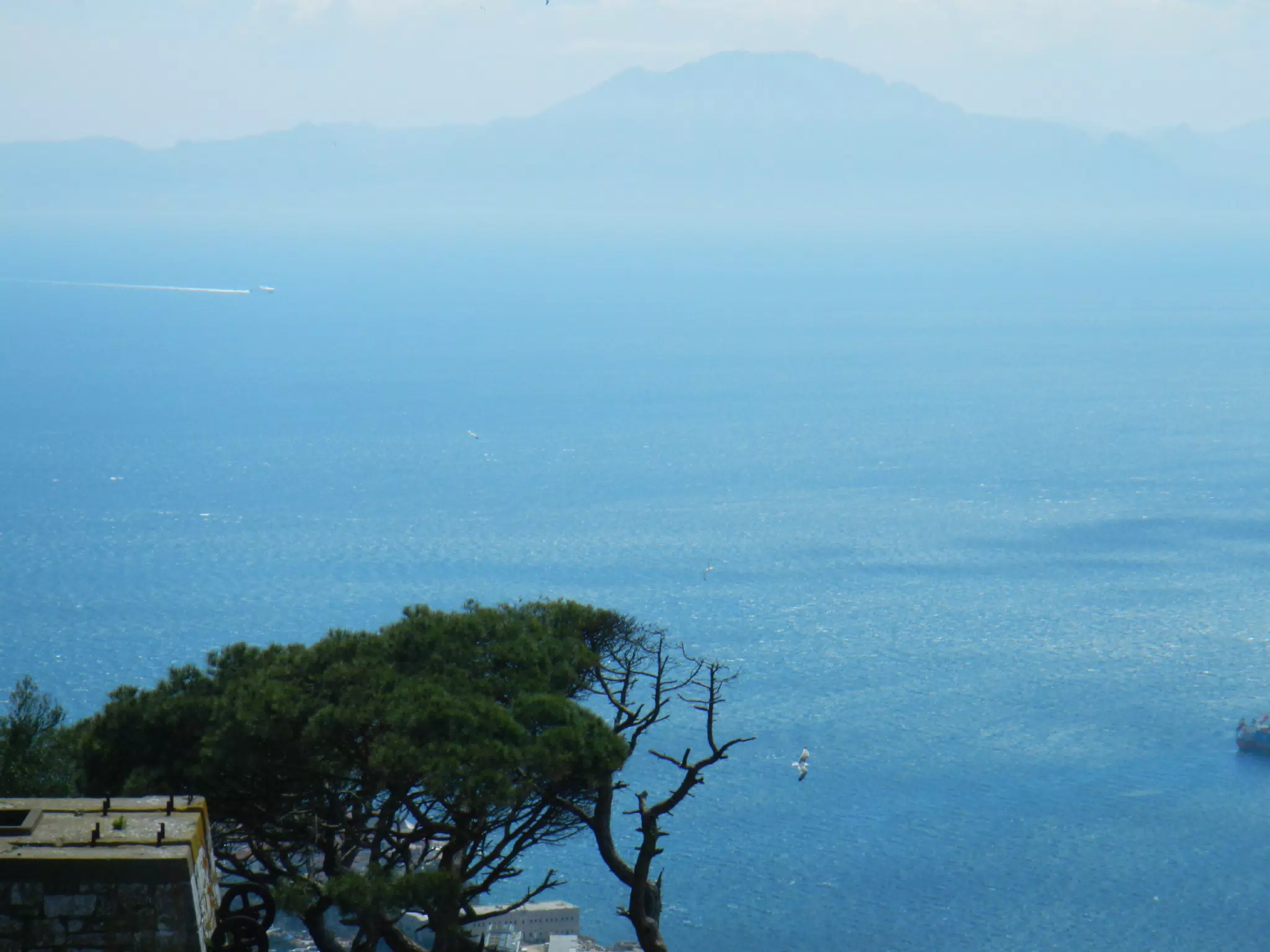 Jebel Musa in the Rif from Gibraltar