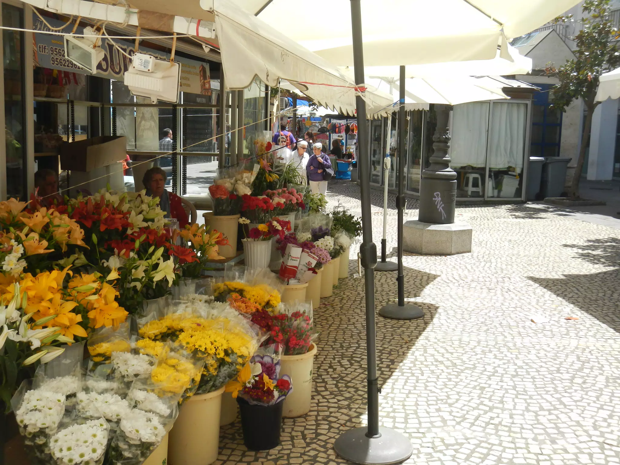Flowers in Market in Cádiz