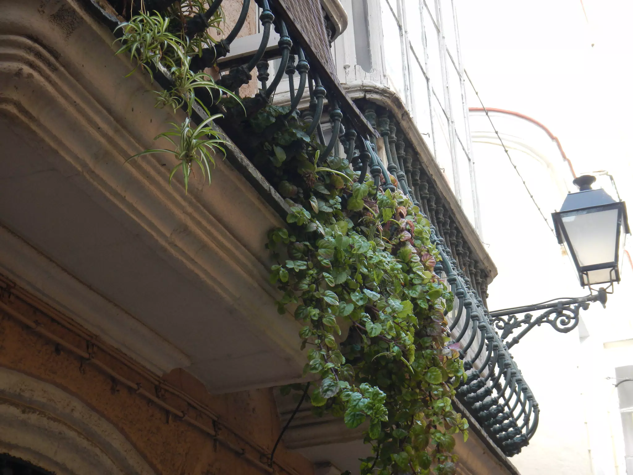 Balcony Detail in Cádiz