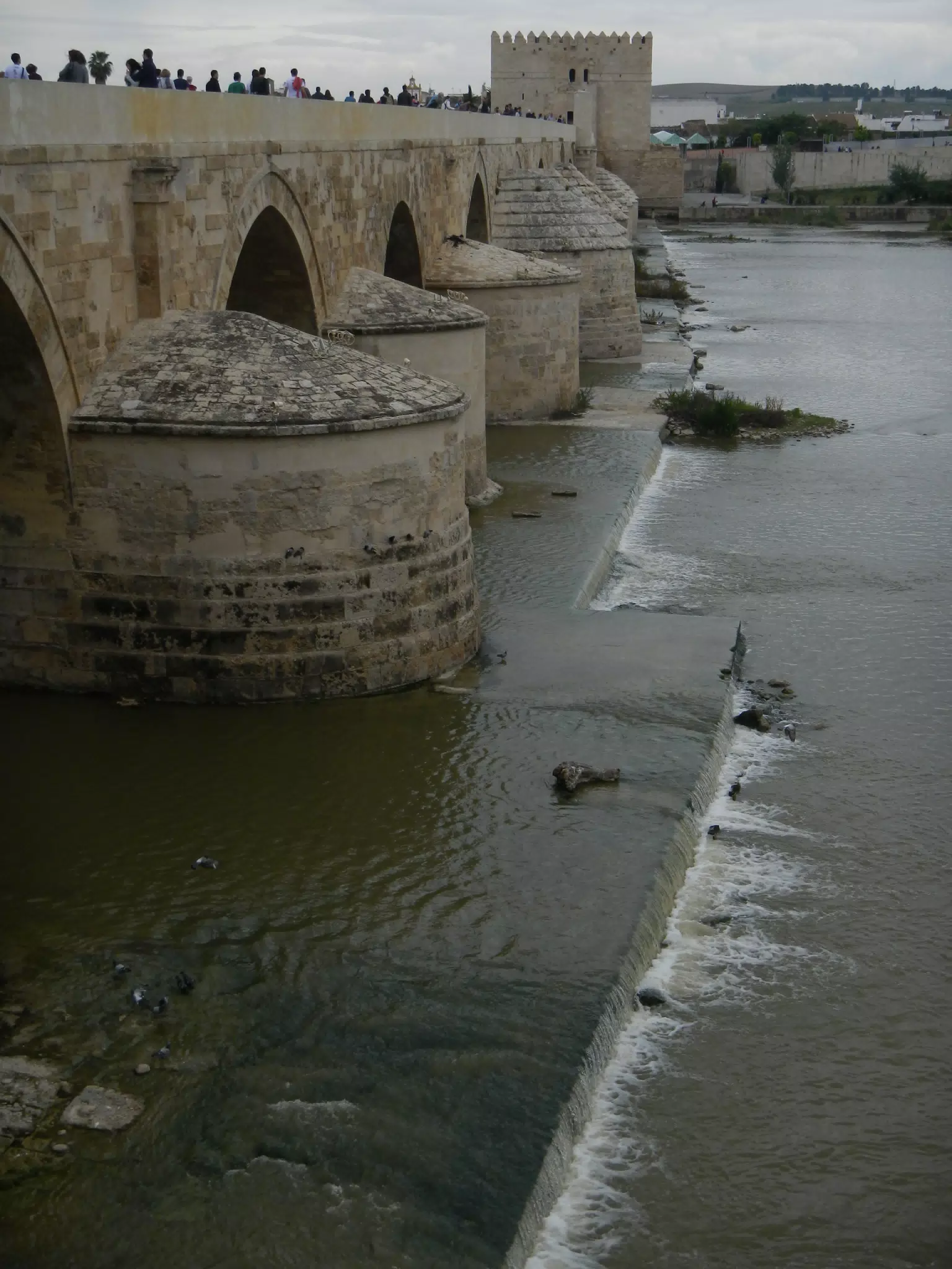 Roman Bridge in Cordoba