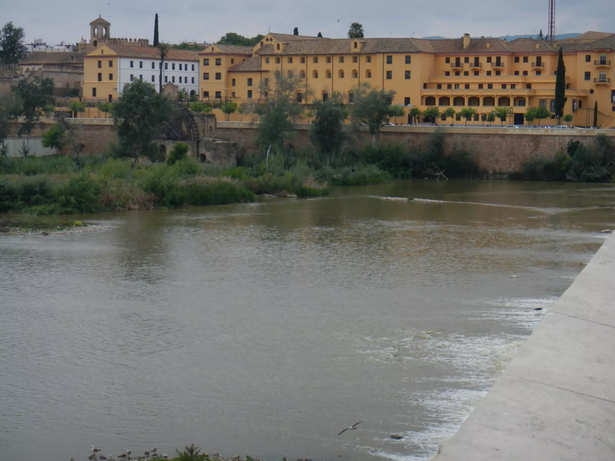 Córdoba