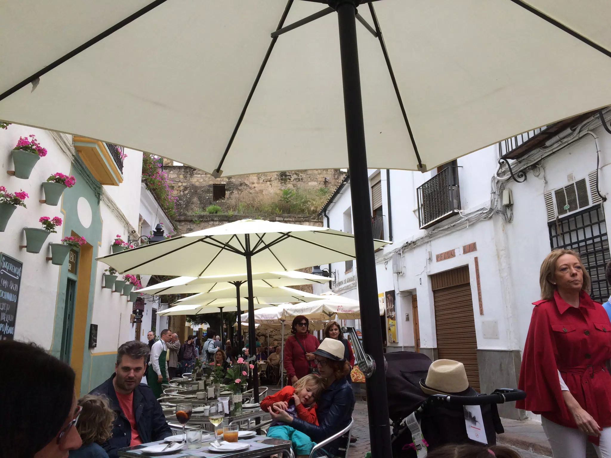 Lunch at Casa Rubio