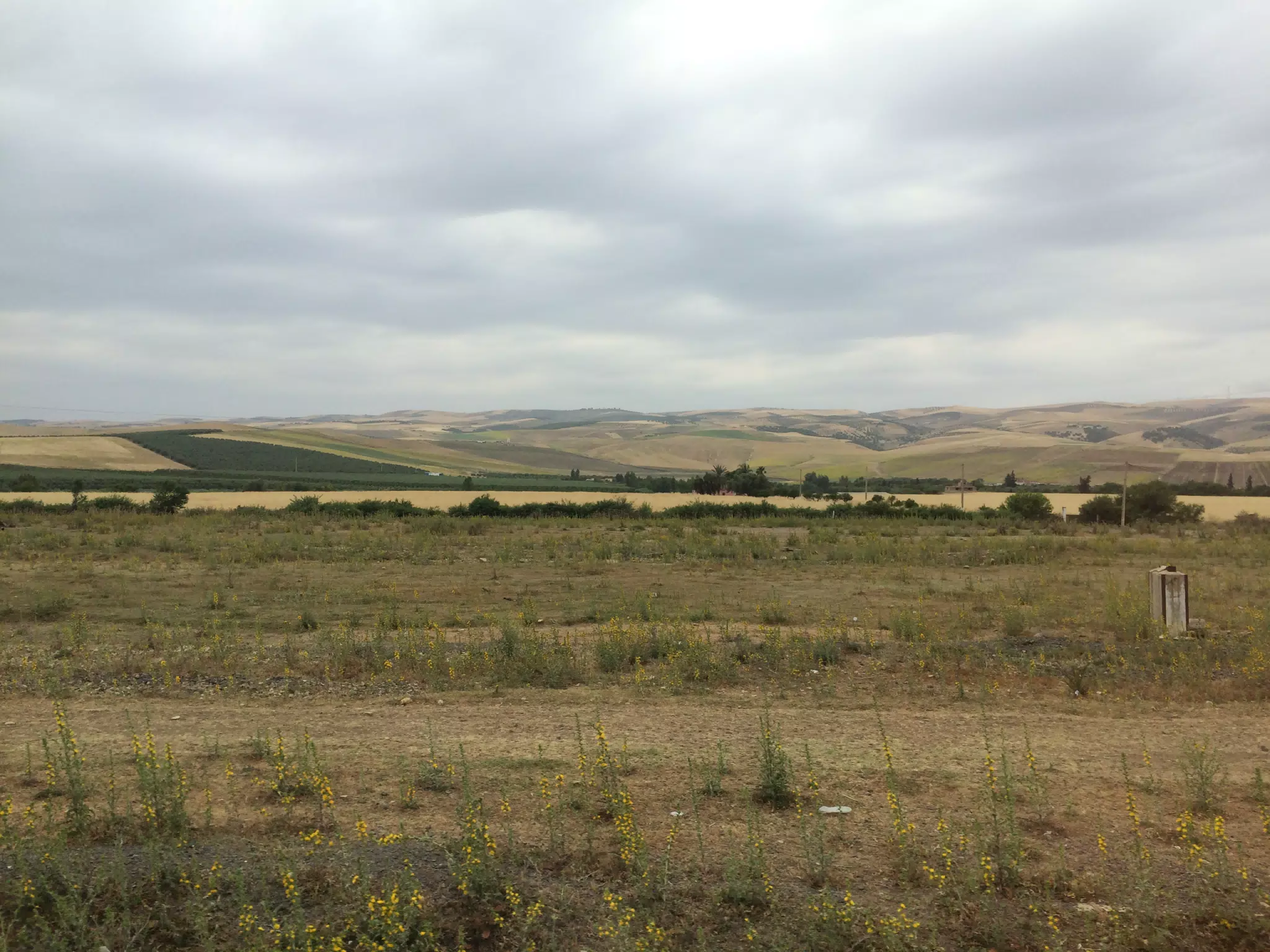 On the Train in Morocco