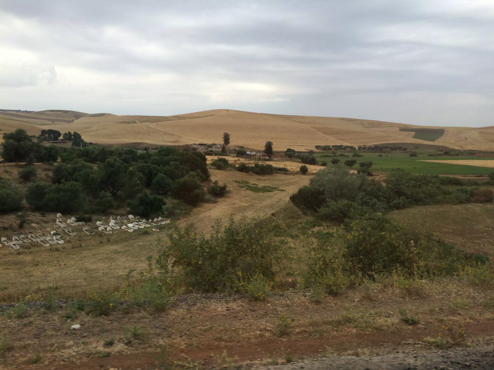On the Train in Morocco
