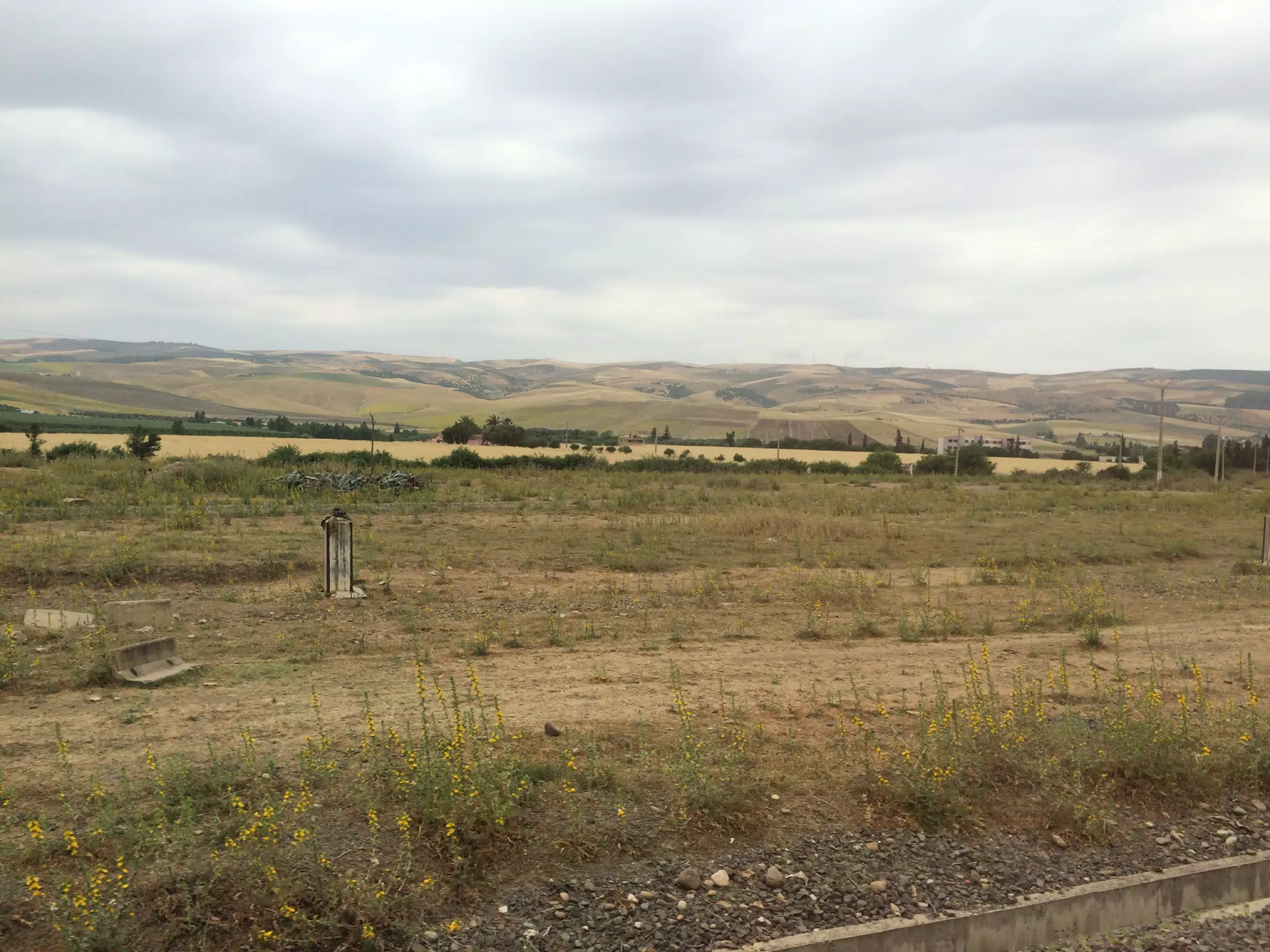 On the Train in Morocco