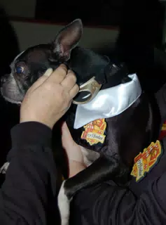 Oreo Getting Love at Halloween Party at Eleven80