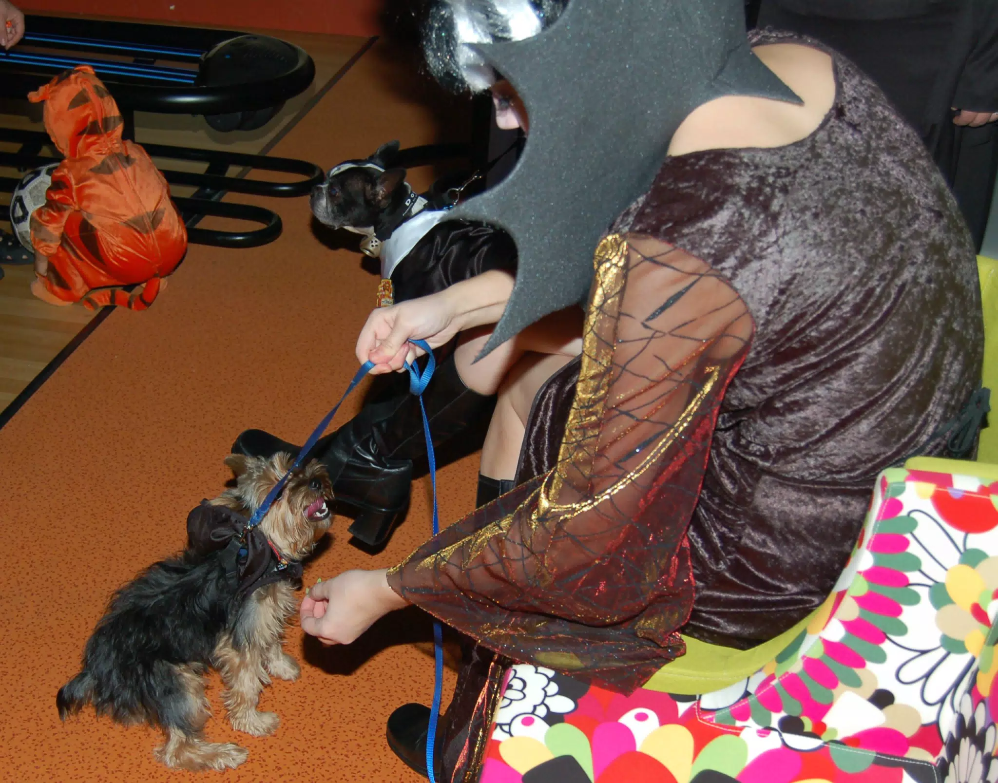 Doggy Halloween