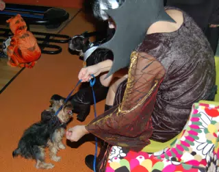 Doggy Halloween