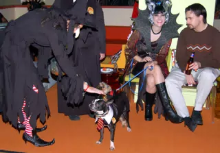 Good-doggie at the Eleven80 Halloween Party