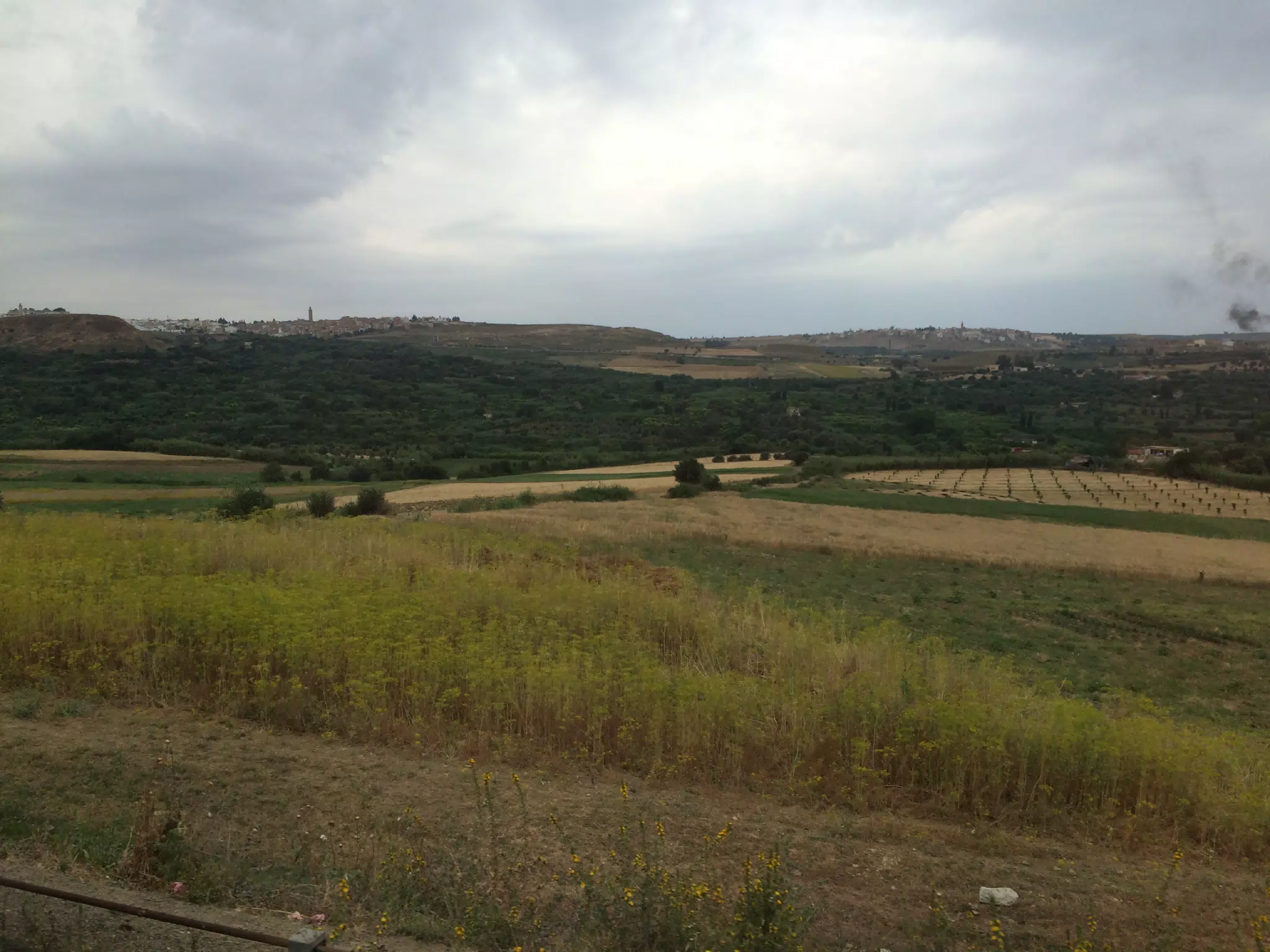 On the Train in Morocco