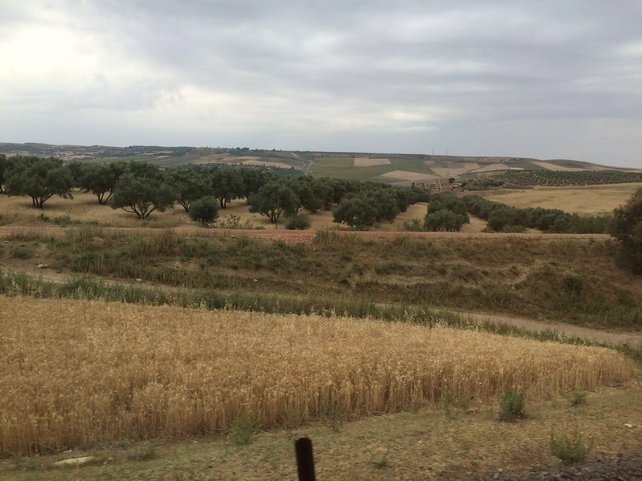 On the Train in Morocco