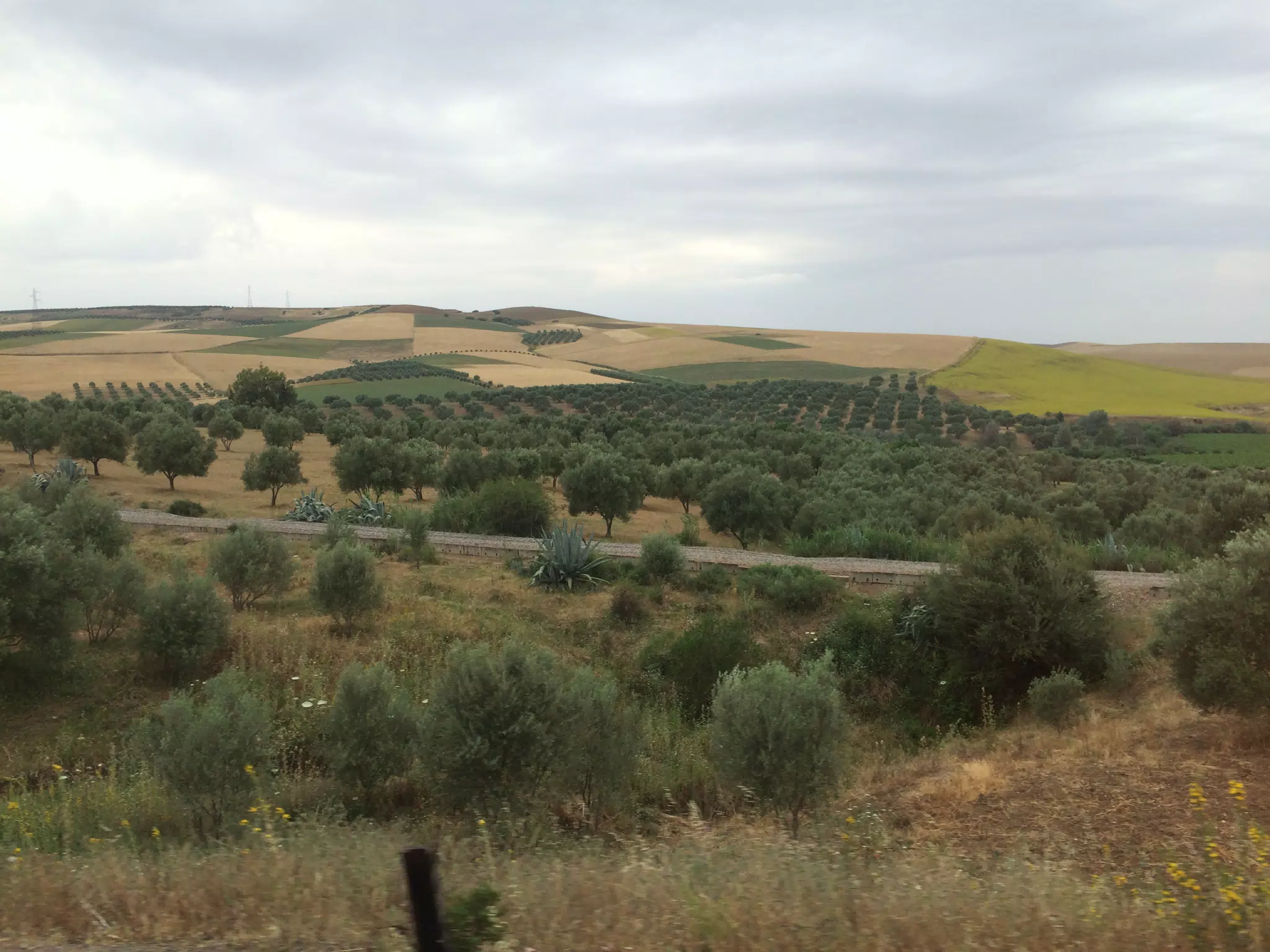 On the Train in Morocco