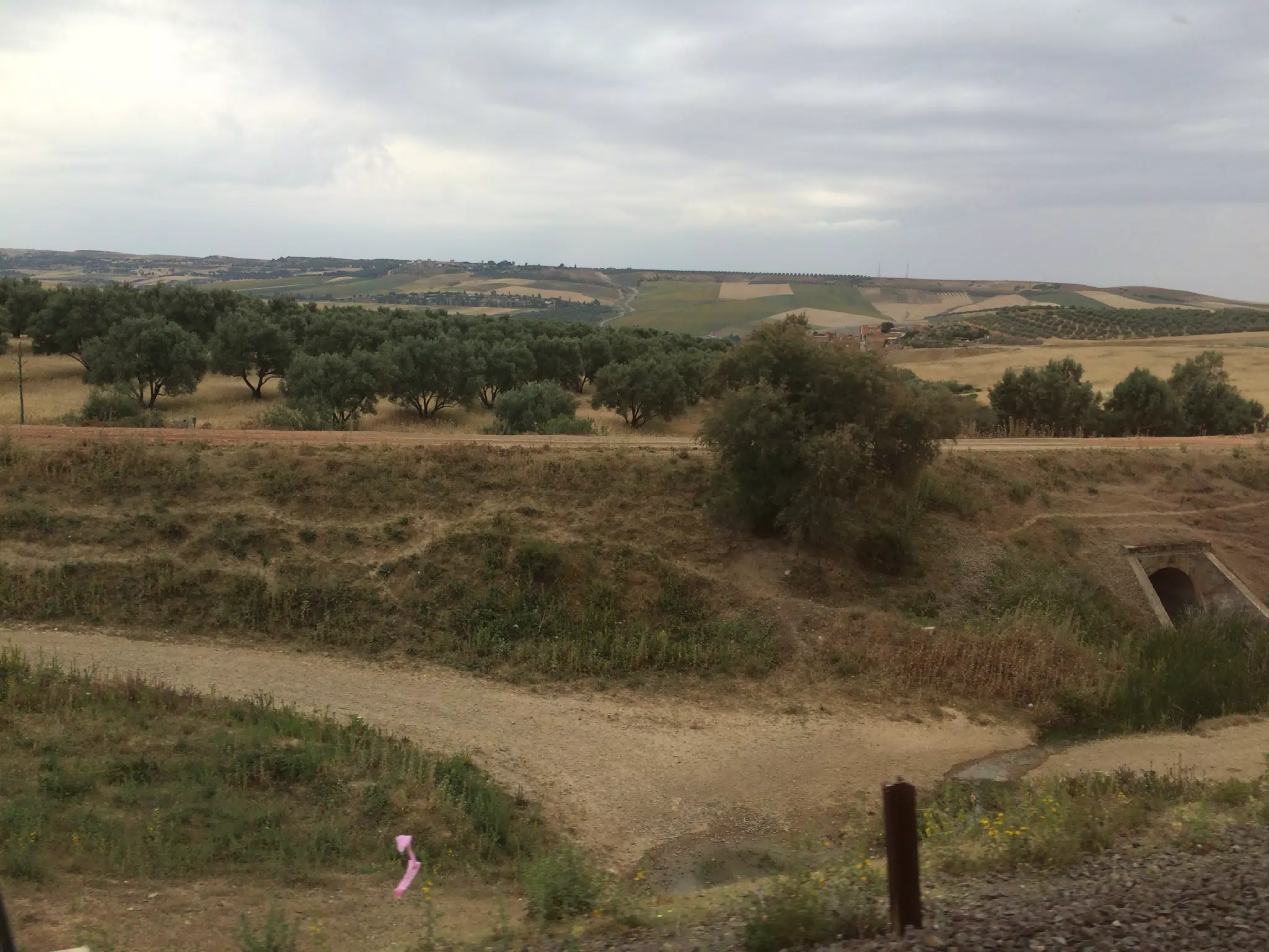 On the Train in Morocco