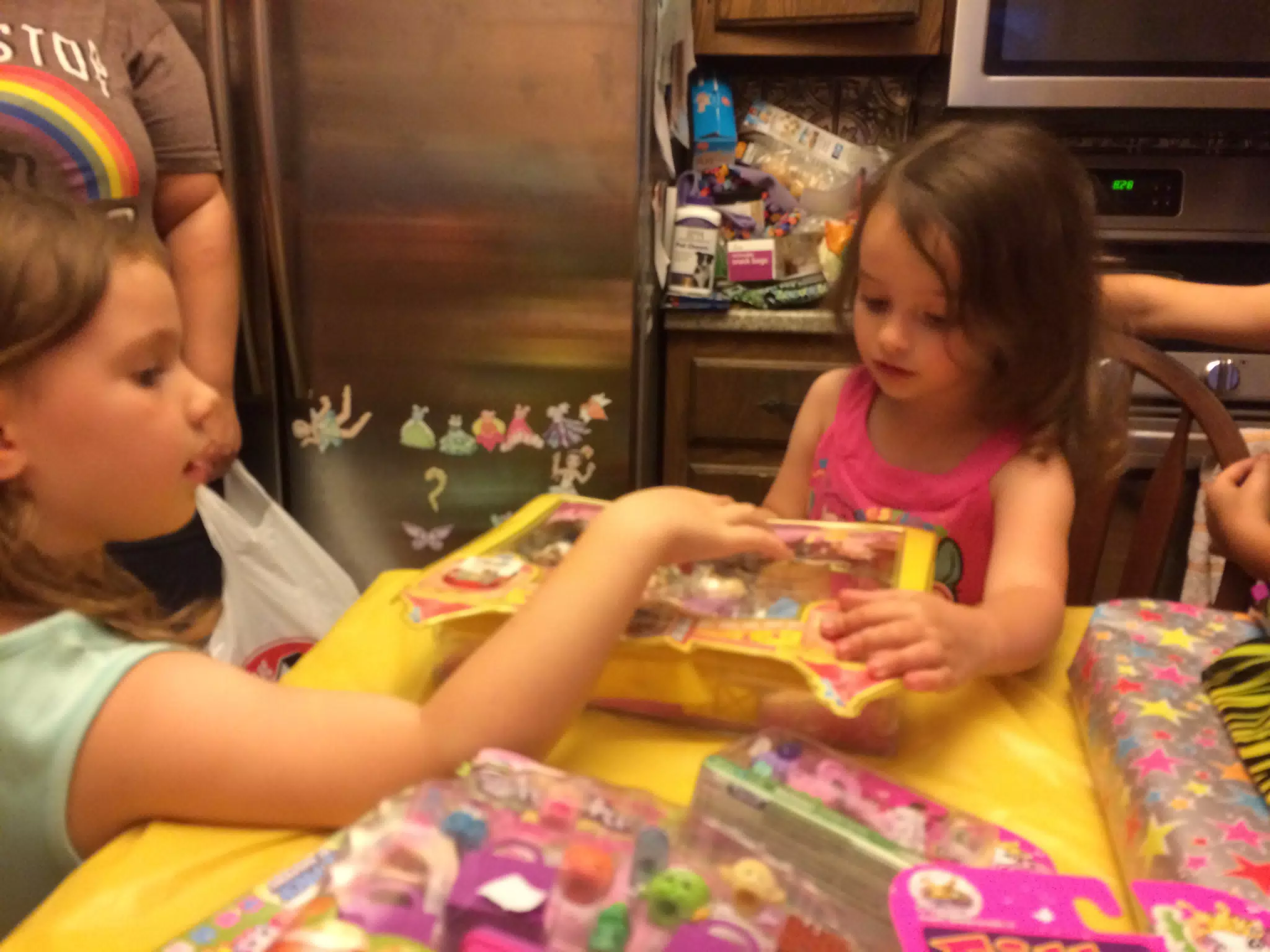 Ciana's Birthday Party in Frankfort