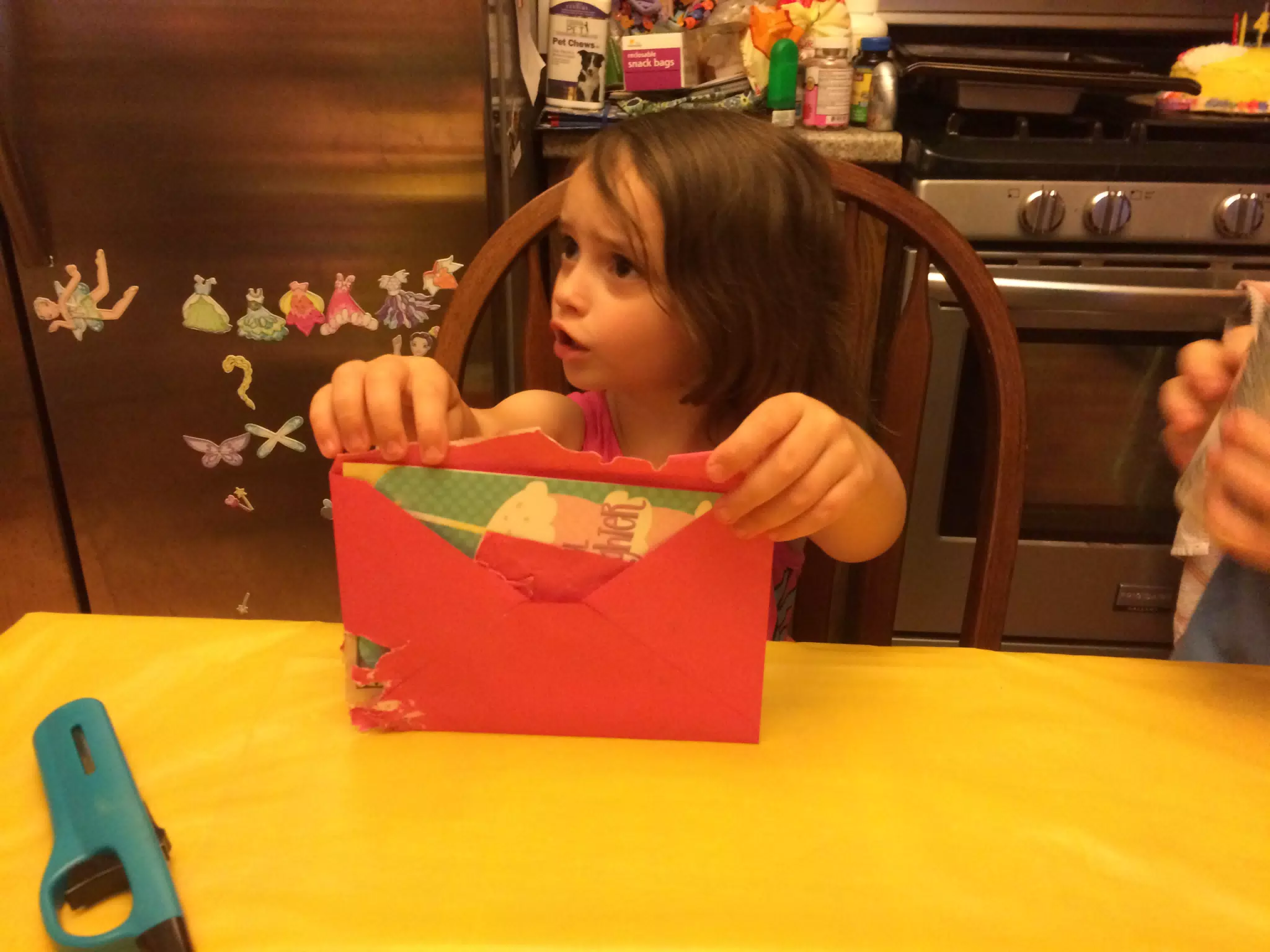 Ciana's Birthday Party in Frankfort