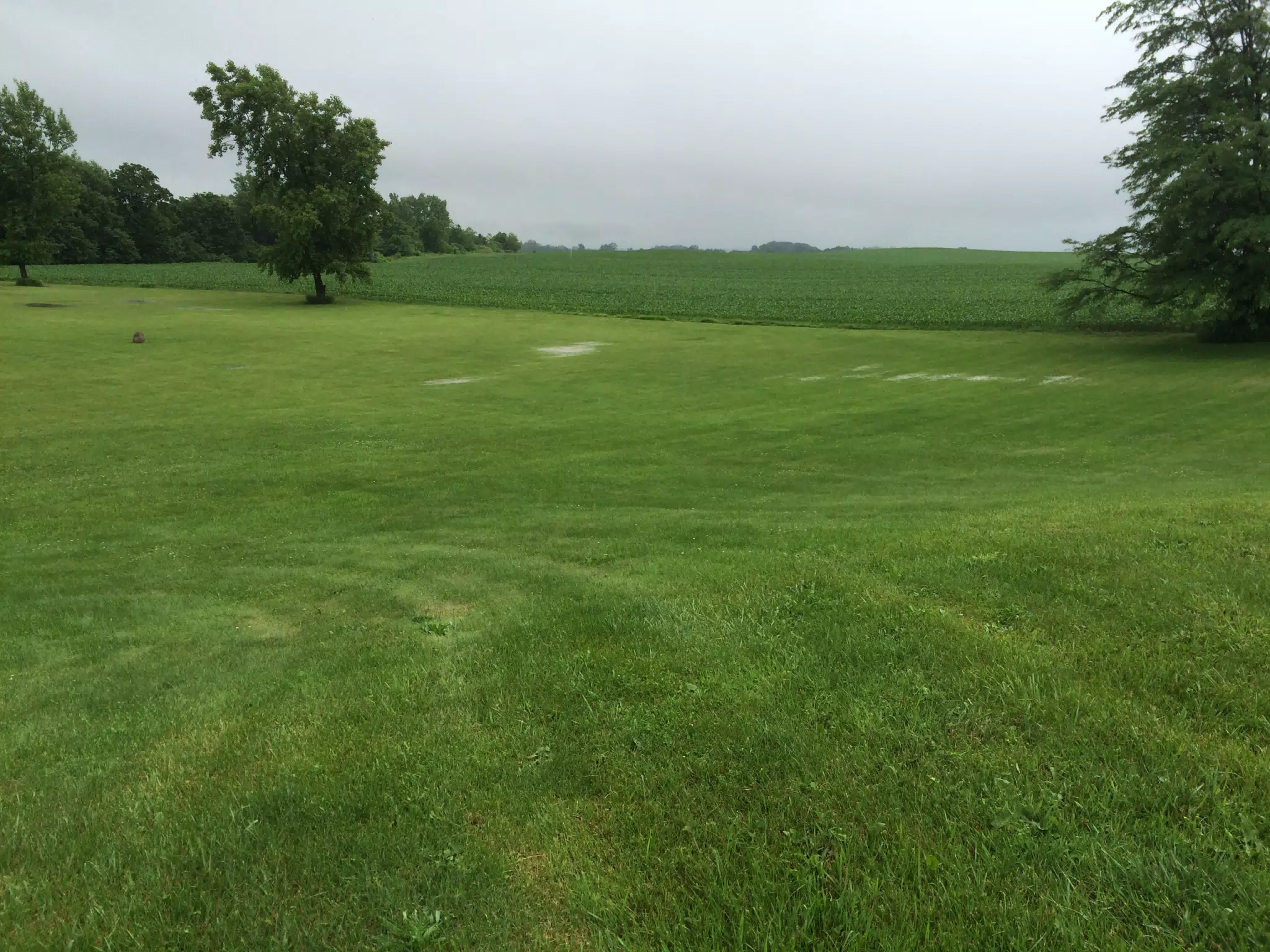 2.6 inches of rain on the farm