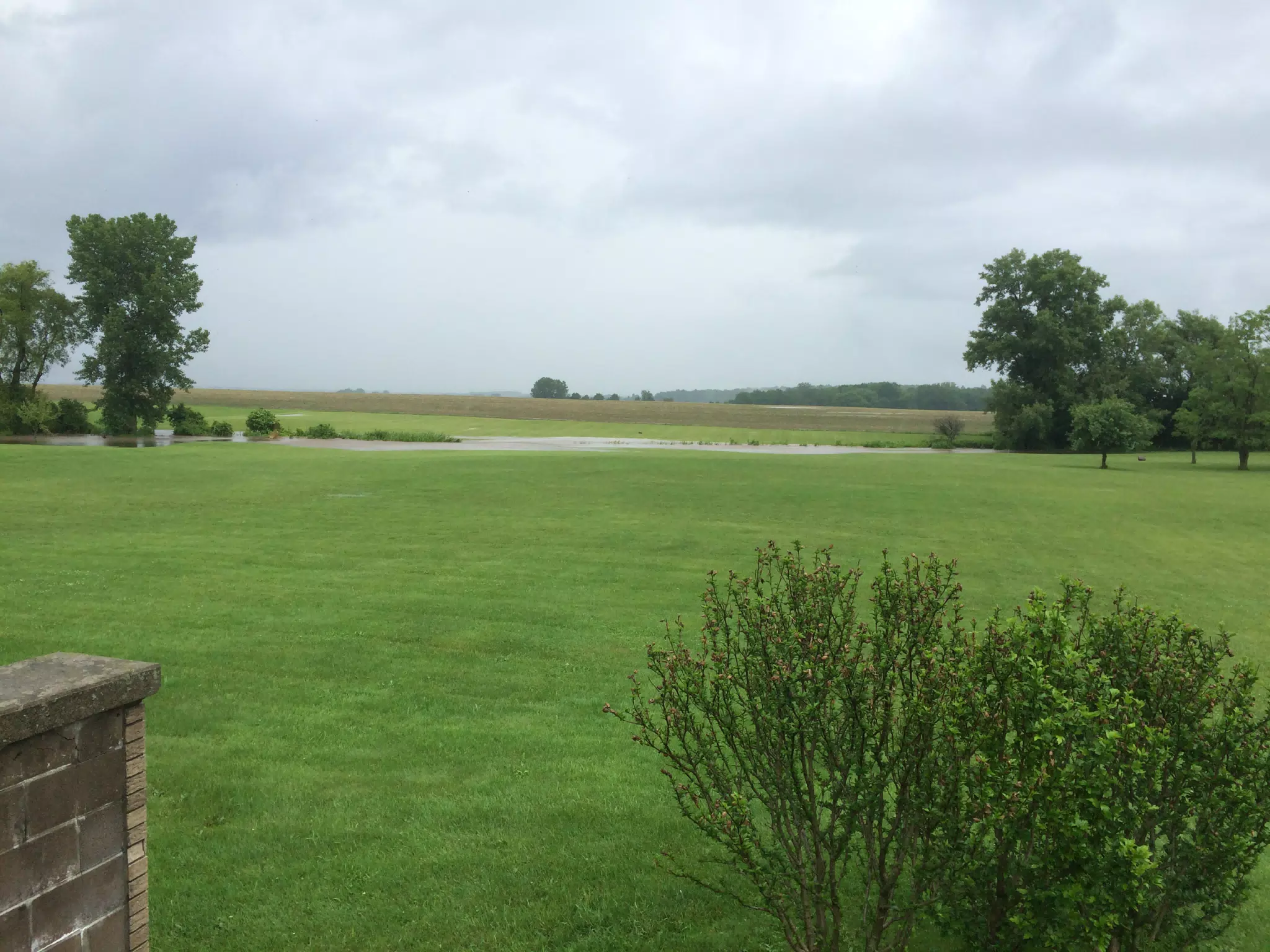 Rain on the Farm