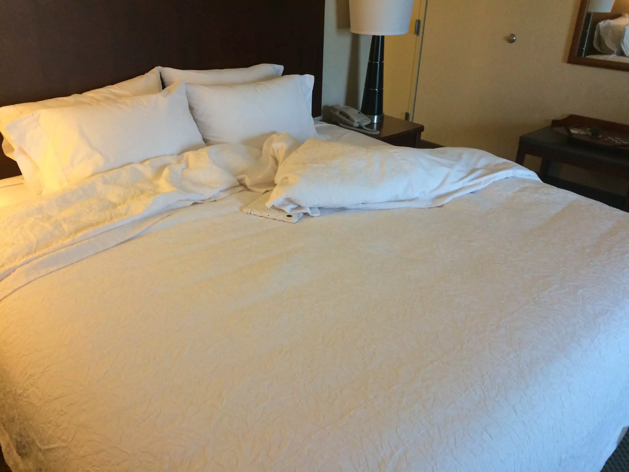 Liesl Cocooned in Hotel Bed Asleep