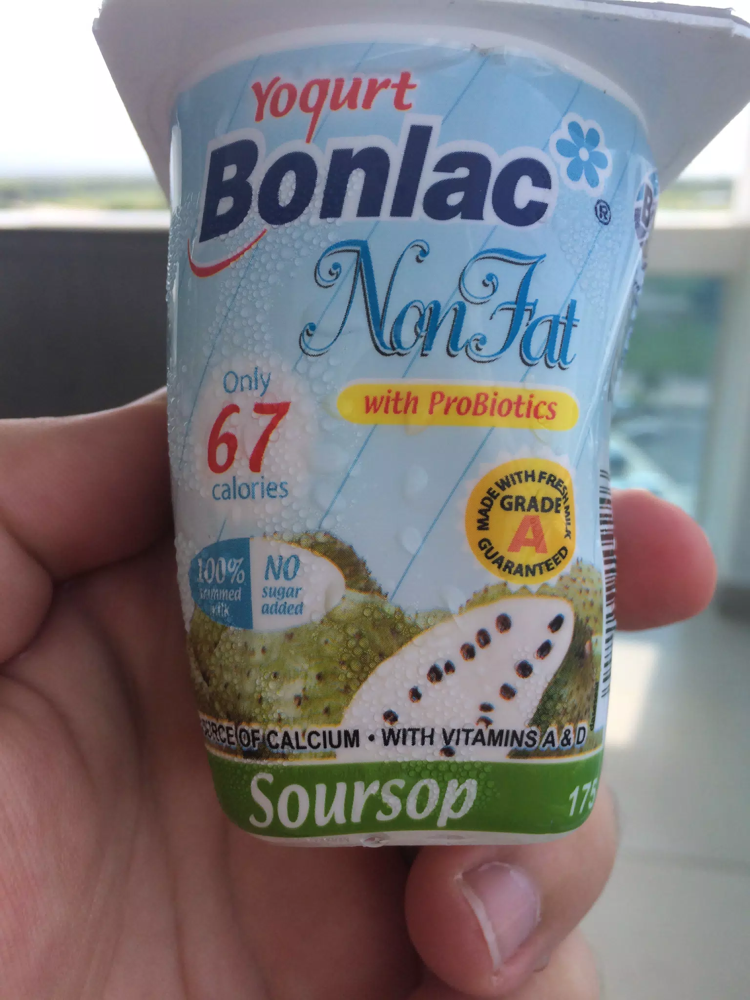 Soursop Yogurt