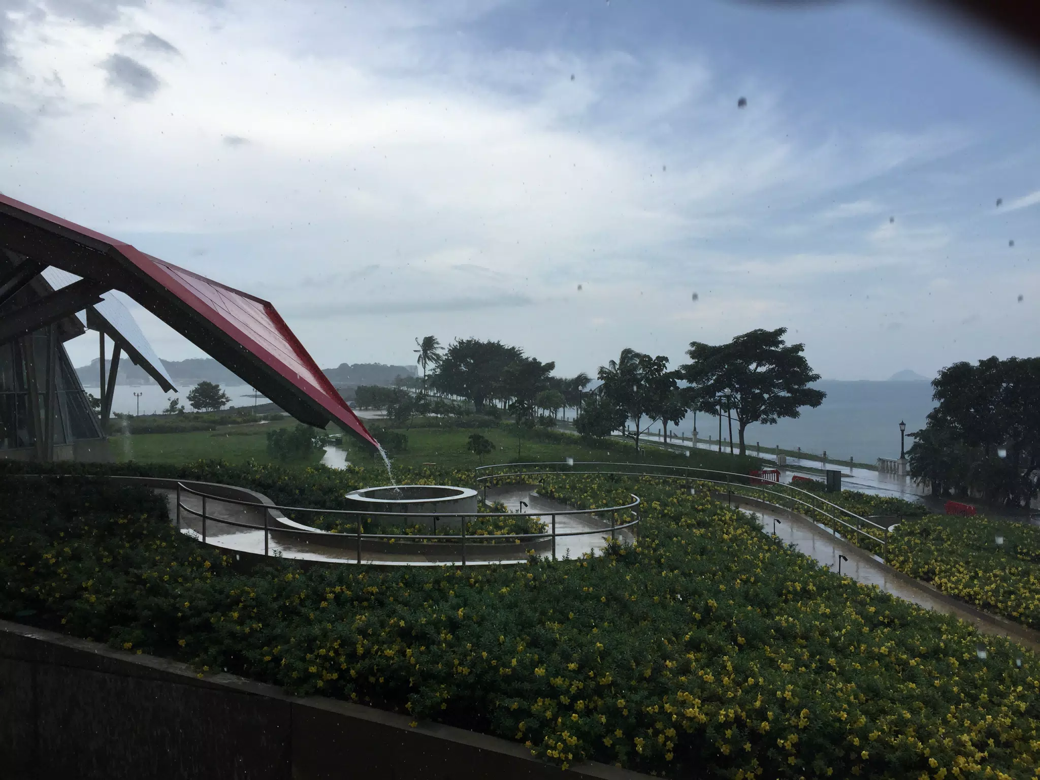 BioMuseo