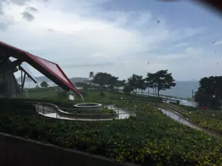 BioMuseo