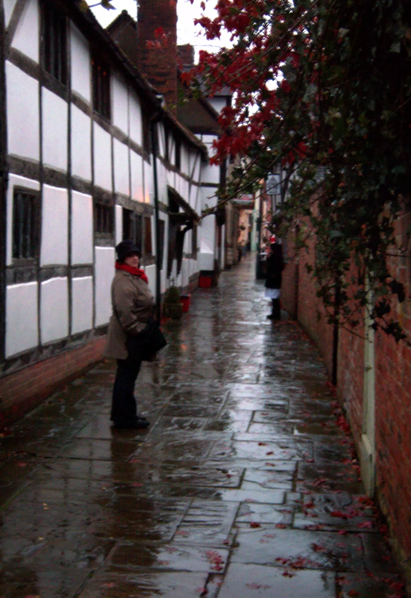 Dominica on Castle Street in Warwick