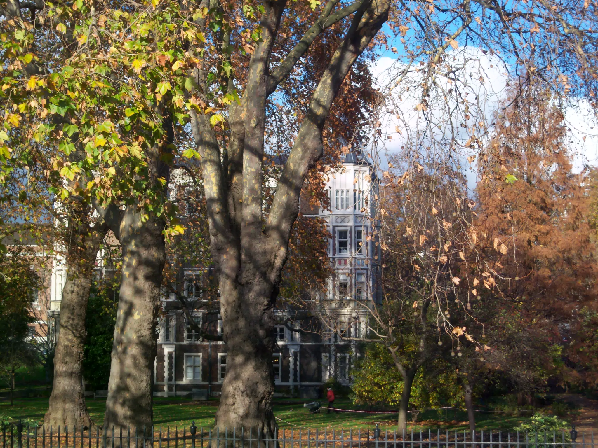 House and Park in London