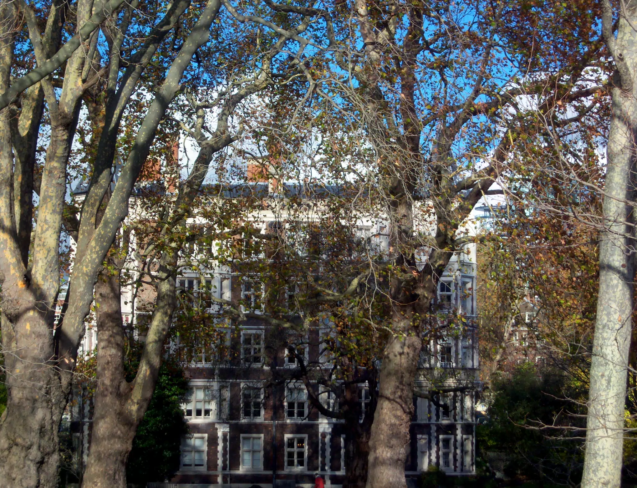 House and Park in London-1