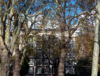 House and Park in London-1