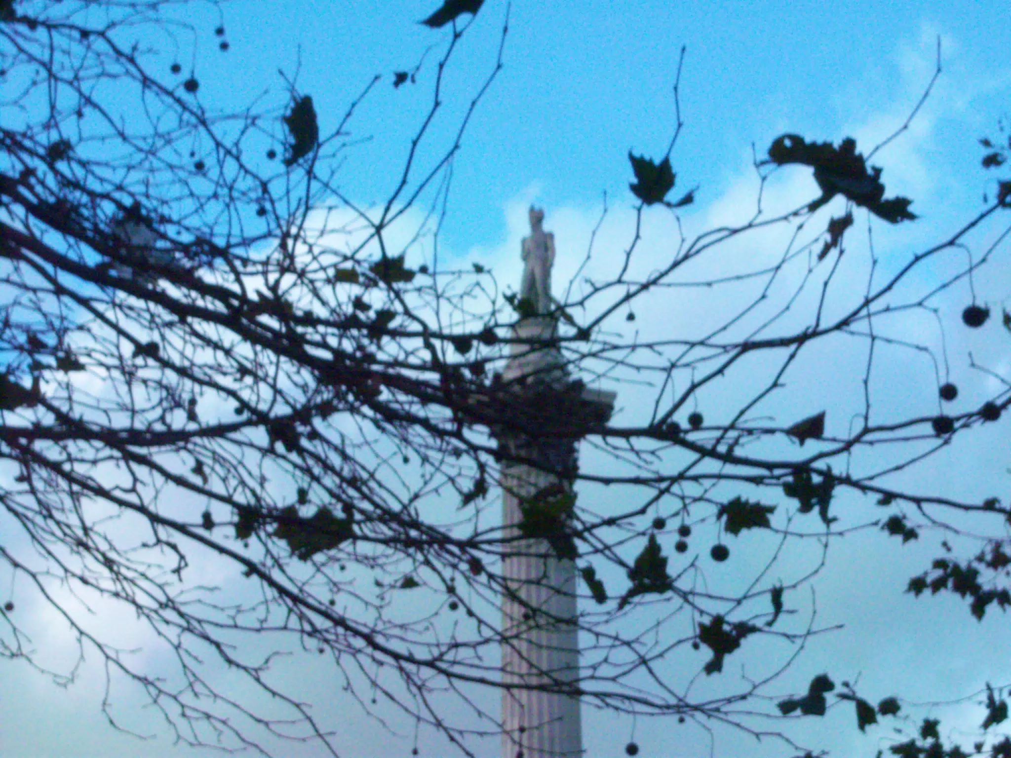 Lord Nelson and Foliage