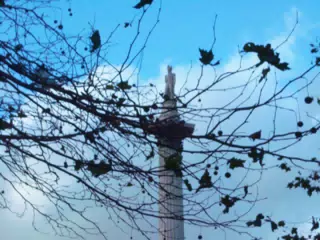 Lord Nelson and Foliage