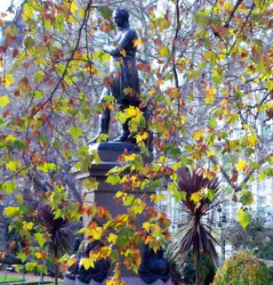 Statue and Foliage