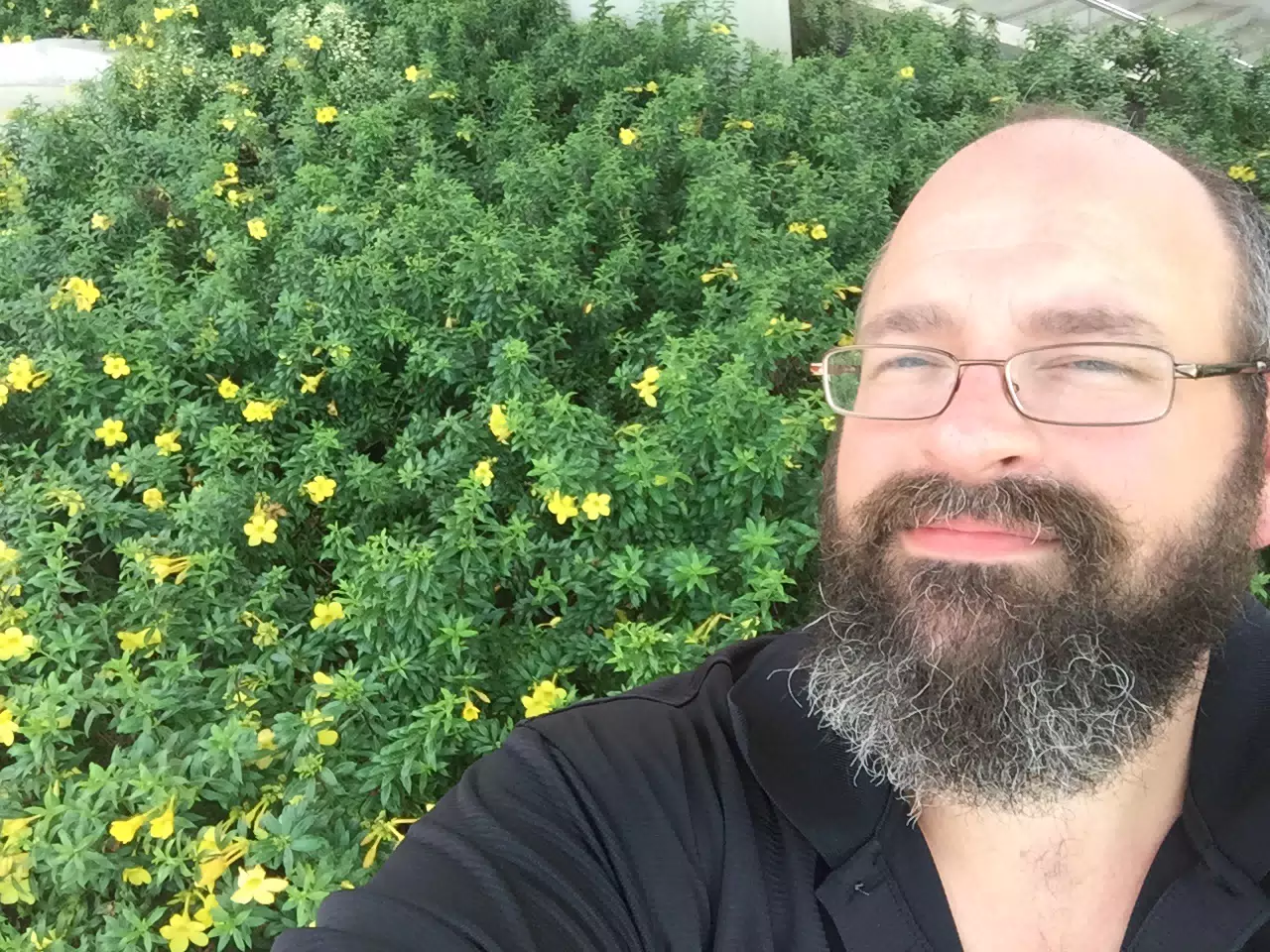 Panama Museum of Biodiversity - BioMuseo