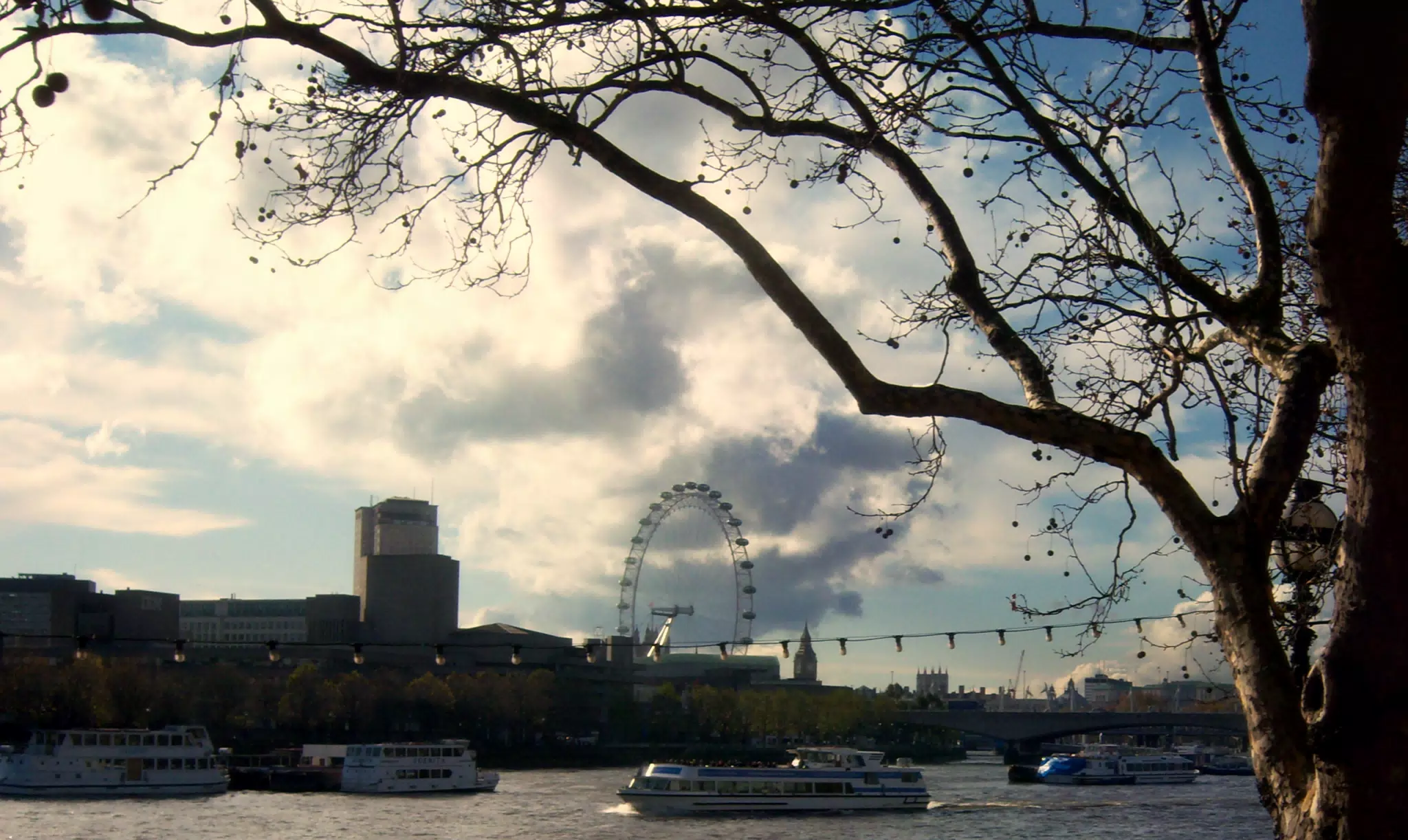 Tree, Sting of Lights and the London Eye