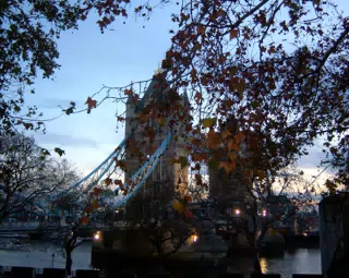 Tower Bridge through Trees