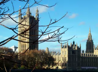 Tree and Paliment Buildings