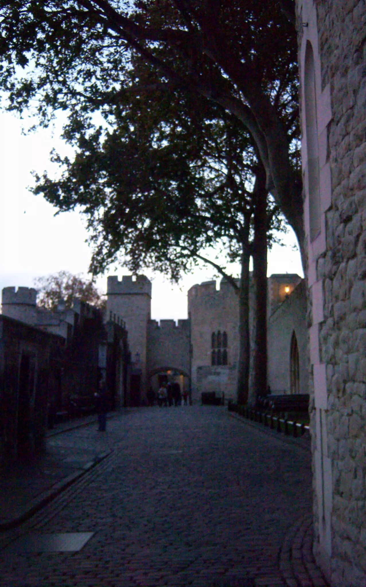 People Walking on the Street Inside the Tower of London