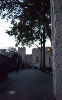 People Walking on the Street Inside the Tower of London