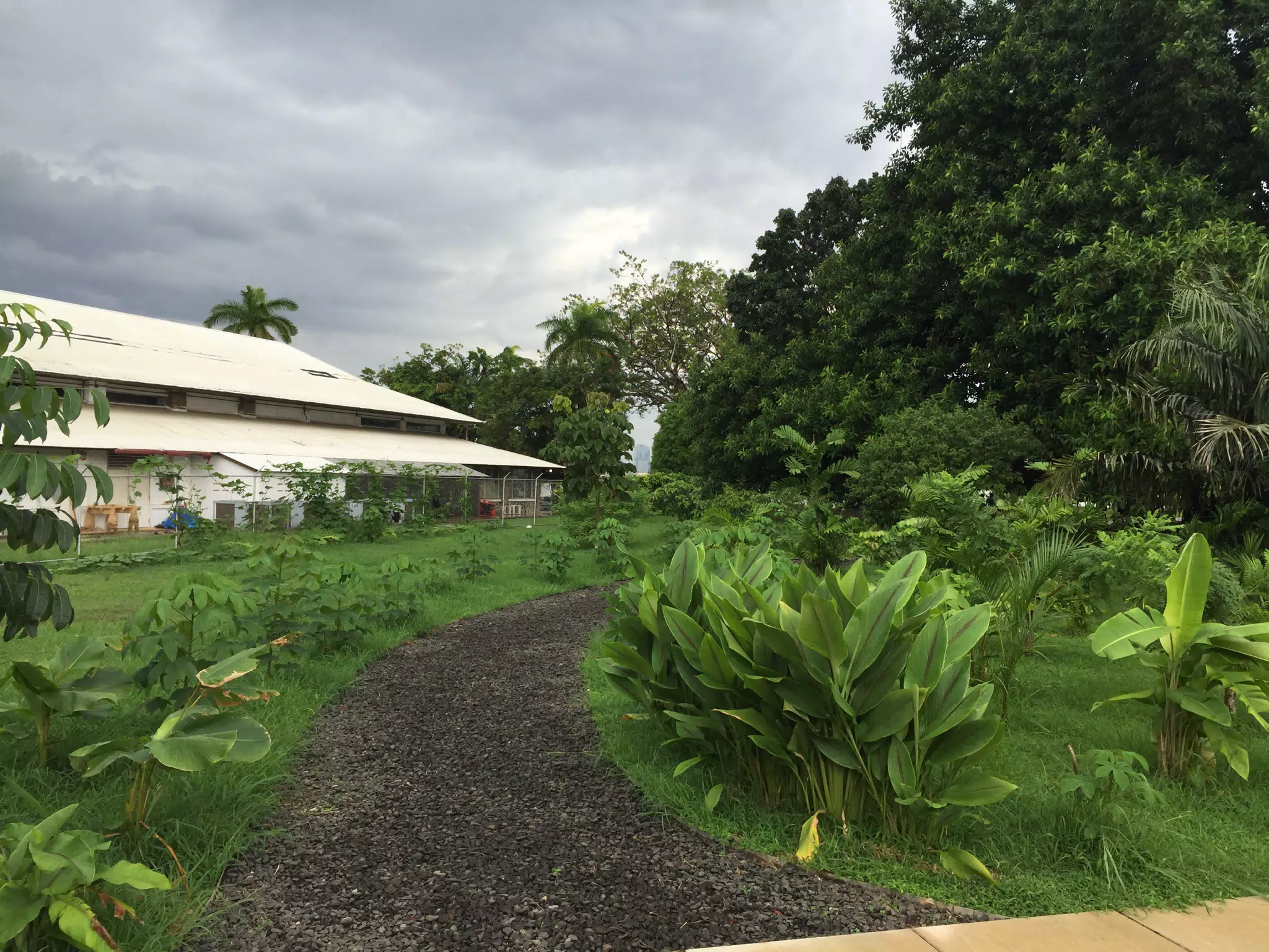 BioMuseo