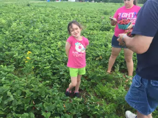 Liesl Picking Fruit in Upstate NY
