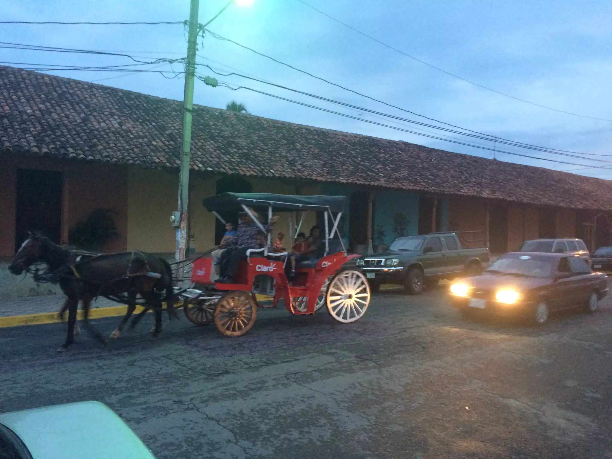 Horse Drawn Carriage by Kathy's Waffle House