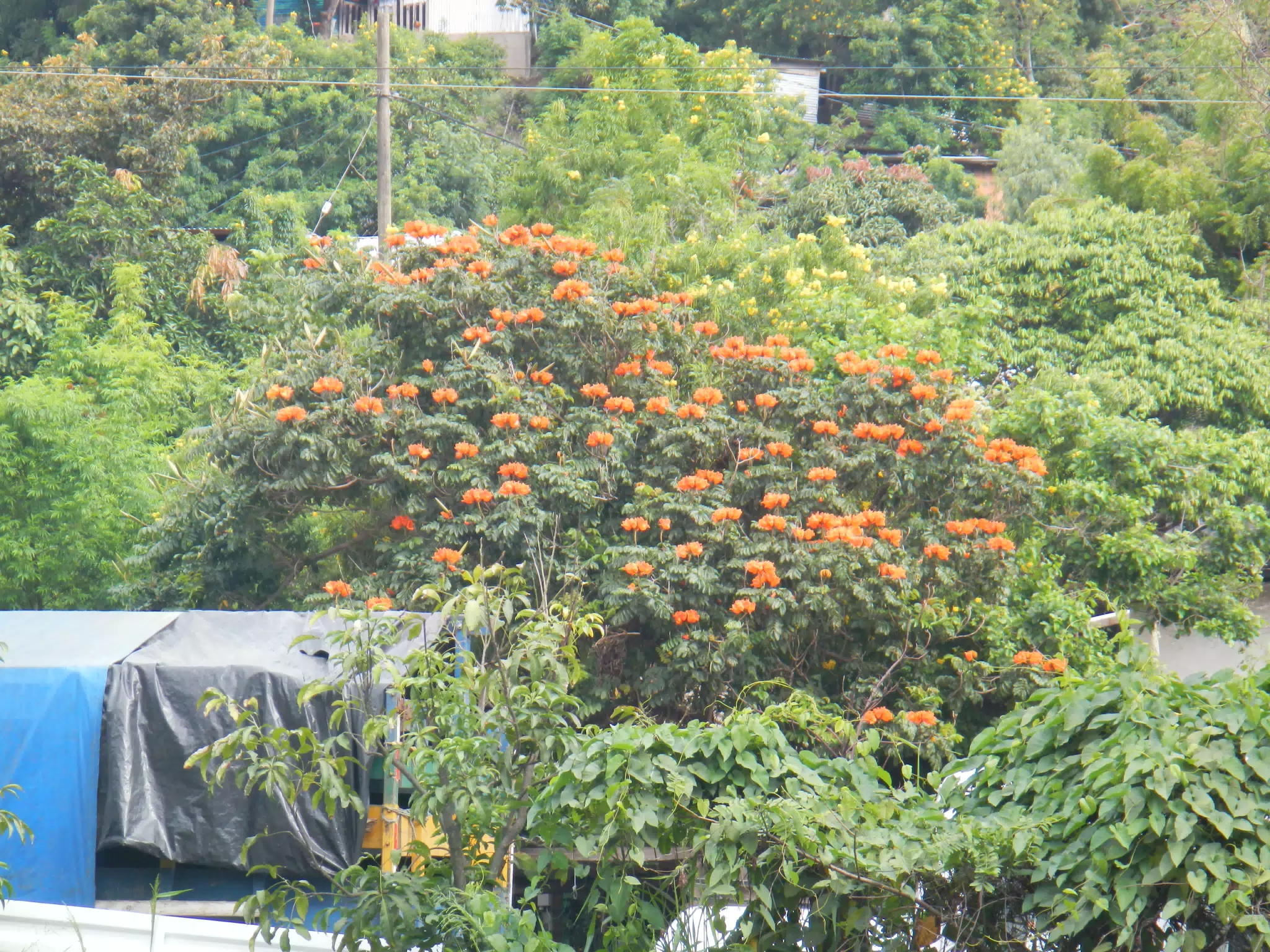 DSCN4790