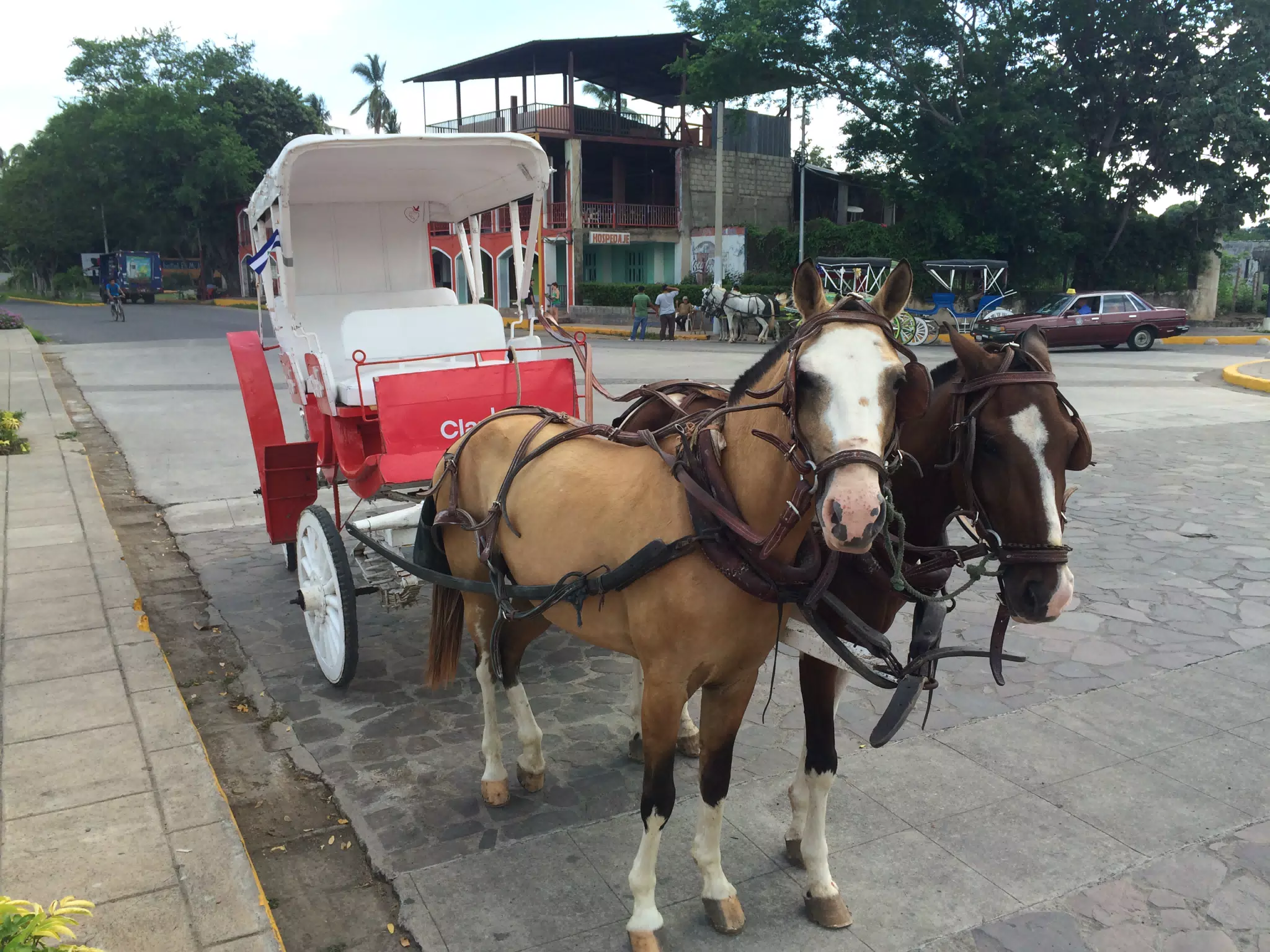 Horse Drawn Carriage in Granada