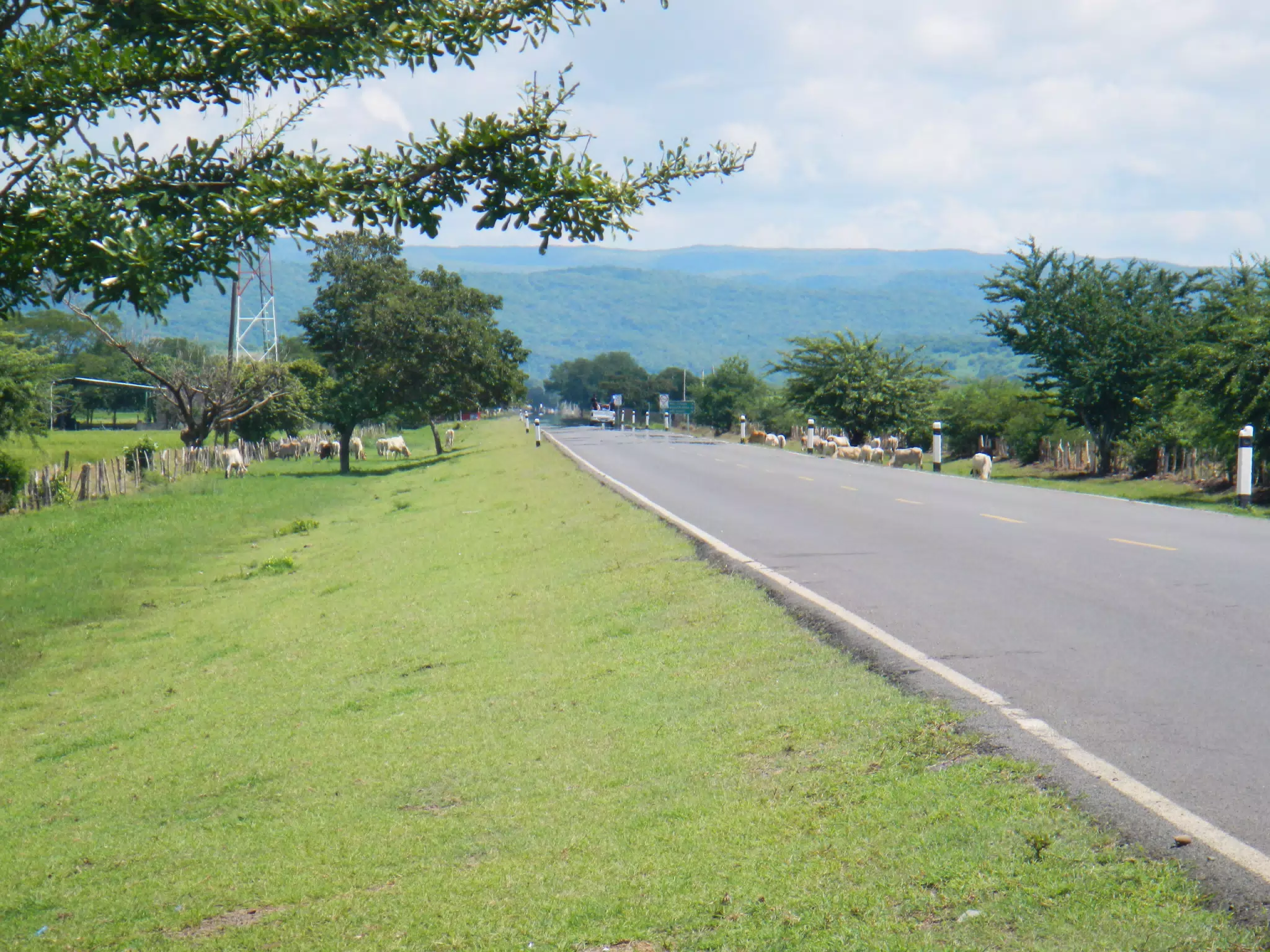 DSCN4831