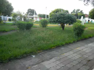 DSCN4883