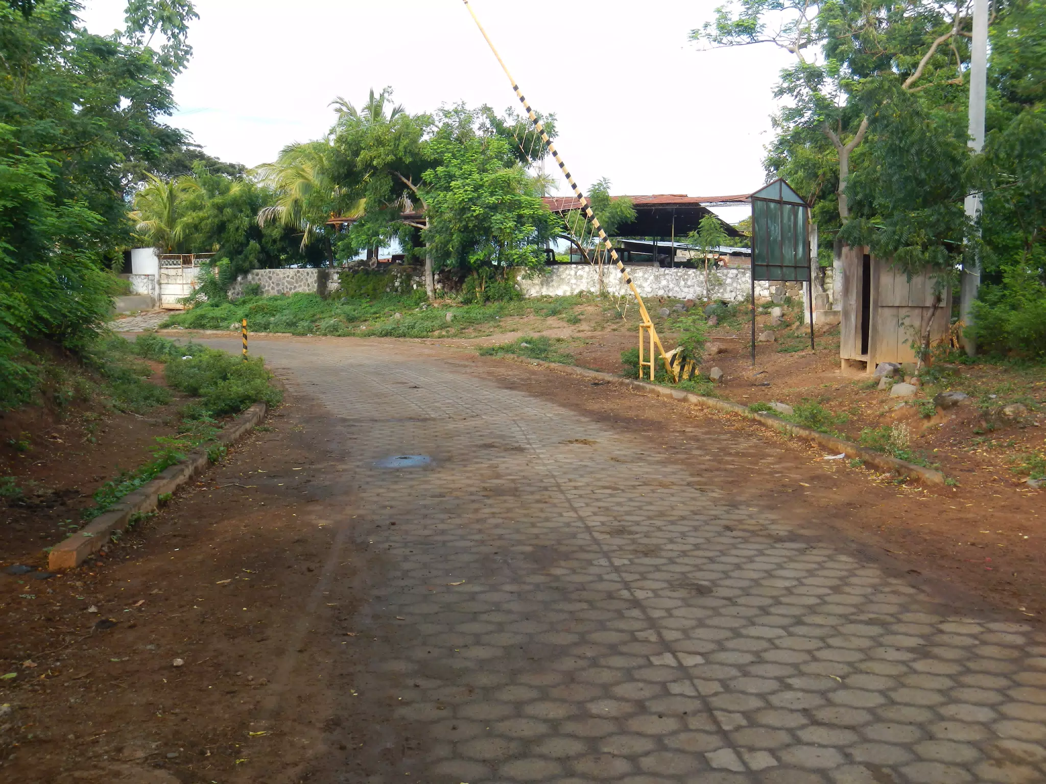 Gate on a Rural Road